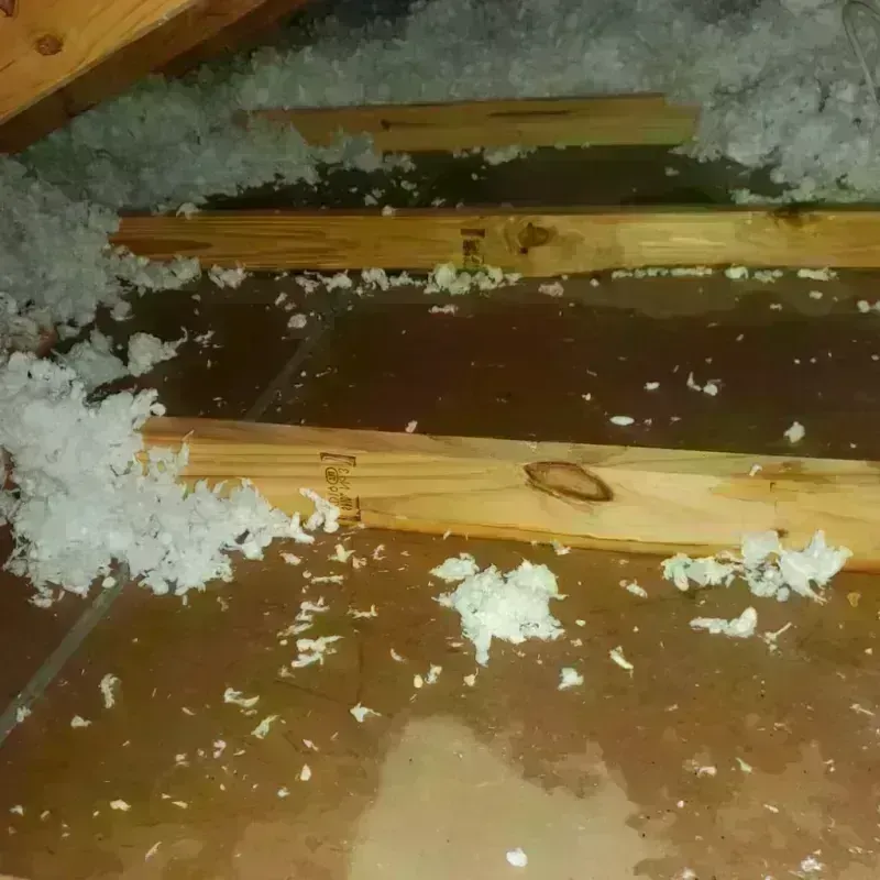 Attic Water Damage in Parker, AZ