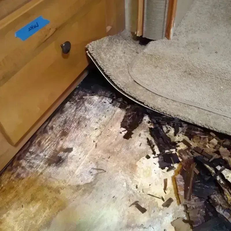 Wood Floor Water Damage in Parker, AZ